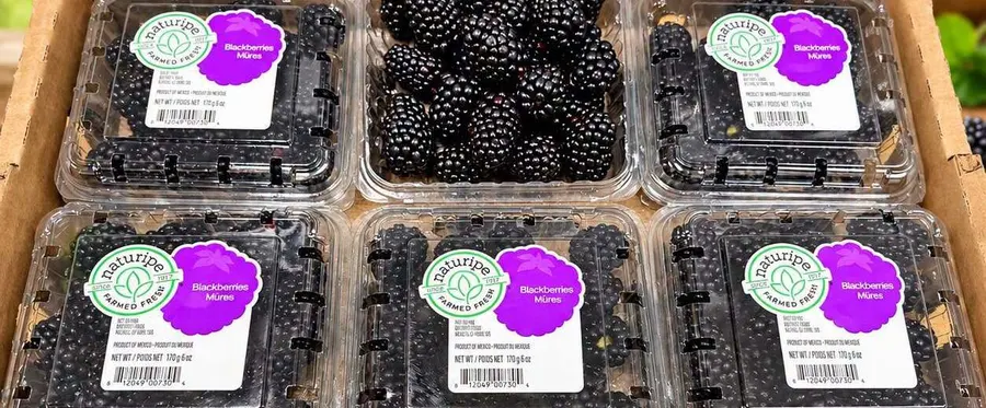 Clamshells of blackberries packed in a produce case